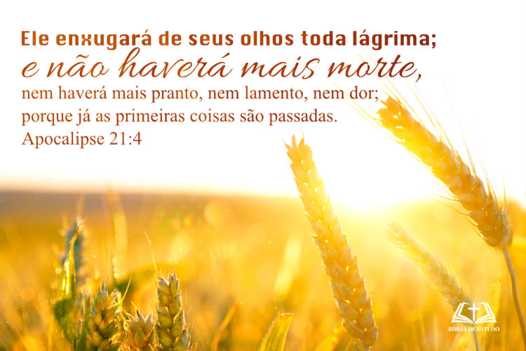 Apocalipse 21:4 Ele enxugará de seus olhos toda lágrima