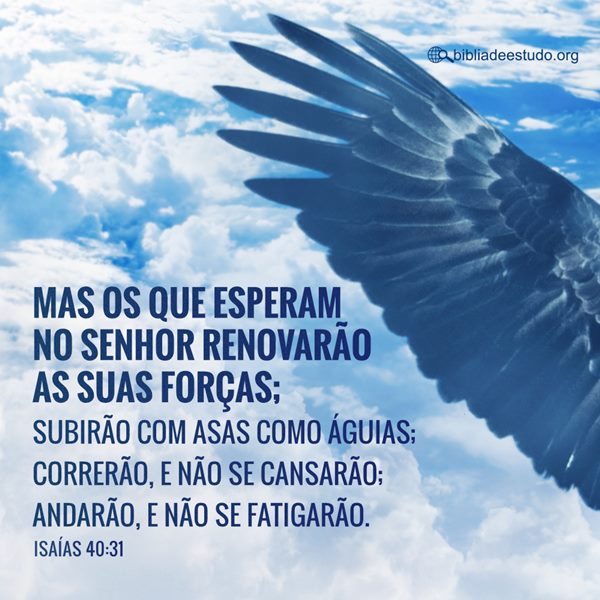 Isaías 40:31 | Mas os que esperam no Senhor renovarão as suas forças