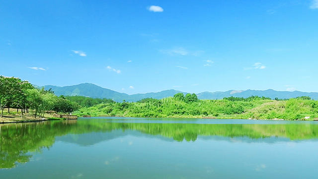 Reconheça as diferenças entre o Cristo encarnado e os falsos cristos e falsos profetas