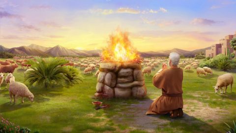 Avaliações de Jó por Deus e na Bíblia