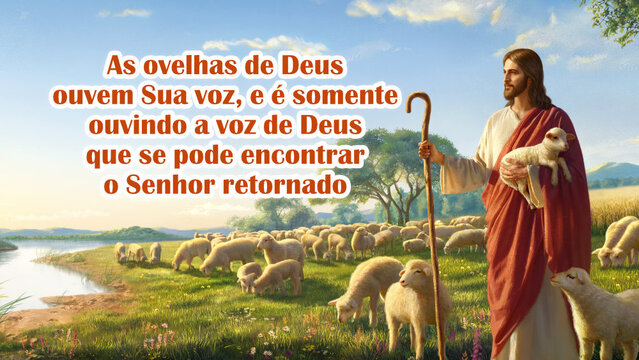 As ovelhas de Deus ouvem Sua voz, e é somente ouvindo a voz de Deus que se pode encontrar o Senhor retornado