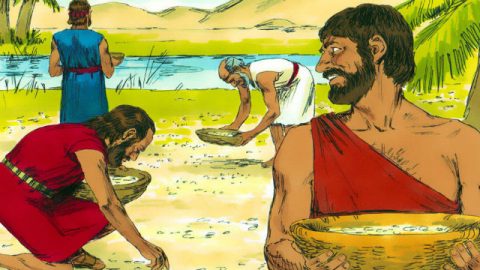 Êxodo - Deus Faz Chover Codornizes e Maná do Céu