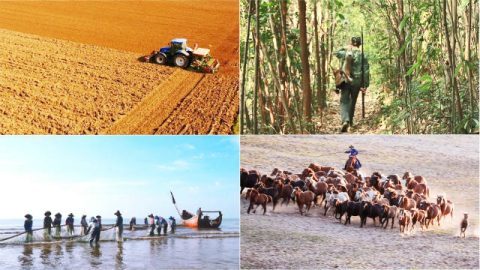 Limites foram desenvolvidos a partir dos vários estilos de vida da humanidade