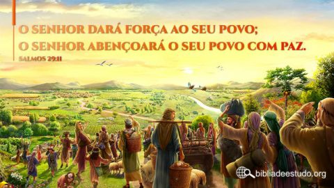 Versículo do Dia: Salmos 29:11 Estudo