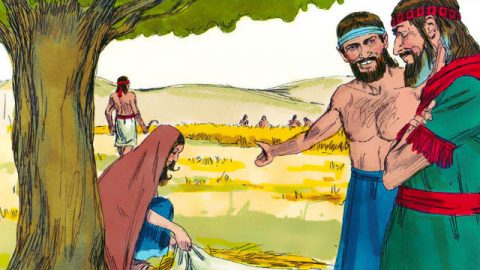 História de Rute na Bíblia - Boaz Favorece Rute