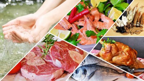 As carnes, as fontes de água e as plantas medicinais que Deus prepara para a humanidade