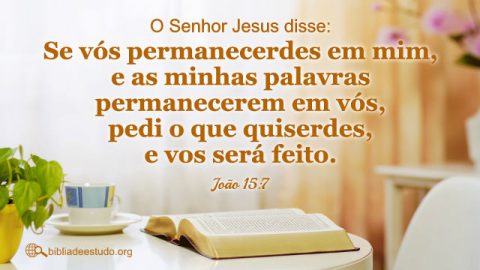 Versículo do Dia: João 15:7 “Se vós permanecerdes em mim, e as minhas palavras permanecerem em vós, pedi o que quiserdes, e vos será feito.”