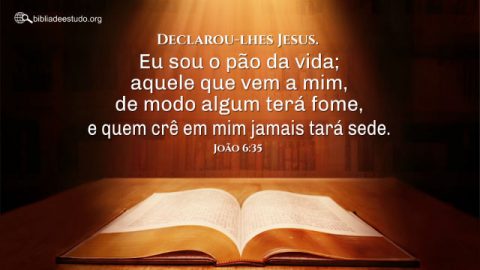 Versículo do Dia: João 6:35 “Declarou-lhes Jesus. Eu sou o pão da vida; aquele que vem a mim, de modo algum terá fome, e quem crê em mim jamais tará sede.”
