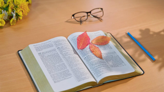 Conhecendo a Bíblia: todas as palavras de Deus estão na Bíblia?