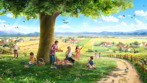 História: uma semente, a terra, uma árvore, a luz do sol, as aves cantantes e o homem