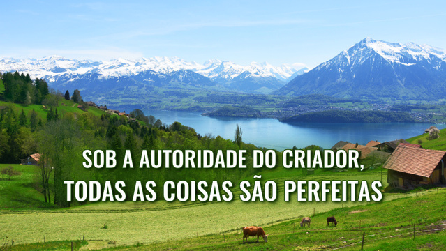 Sob a autoridade do Criador, todas as coisas são perfeitas