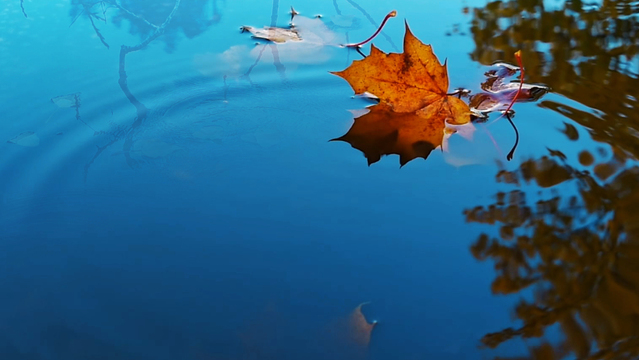 Como o homem que delimitou Deus em suas noções pode receber as revelações de Deus?