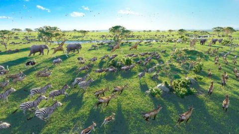 O fato do controle e domínio do Criador sobre todas as coisas e seres viventes fala da verdadeira existência da autoridade do Criador