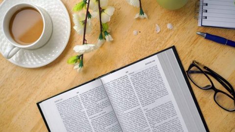Qual é a verdadeira relação entre Deus e a Biblia