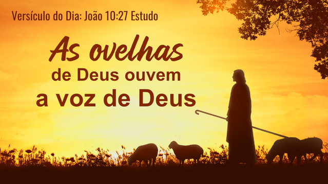 Versículo do Dia: João 10:27 Estudo - As ovelhas de Deus ouvem a voz de Deus